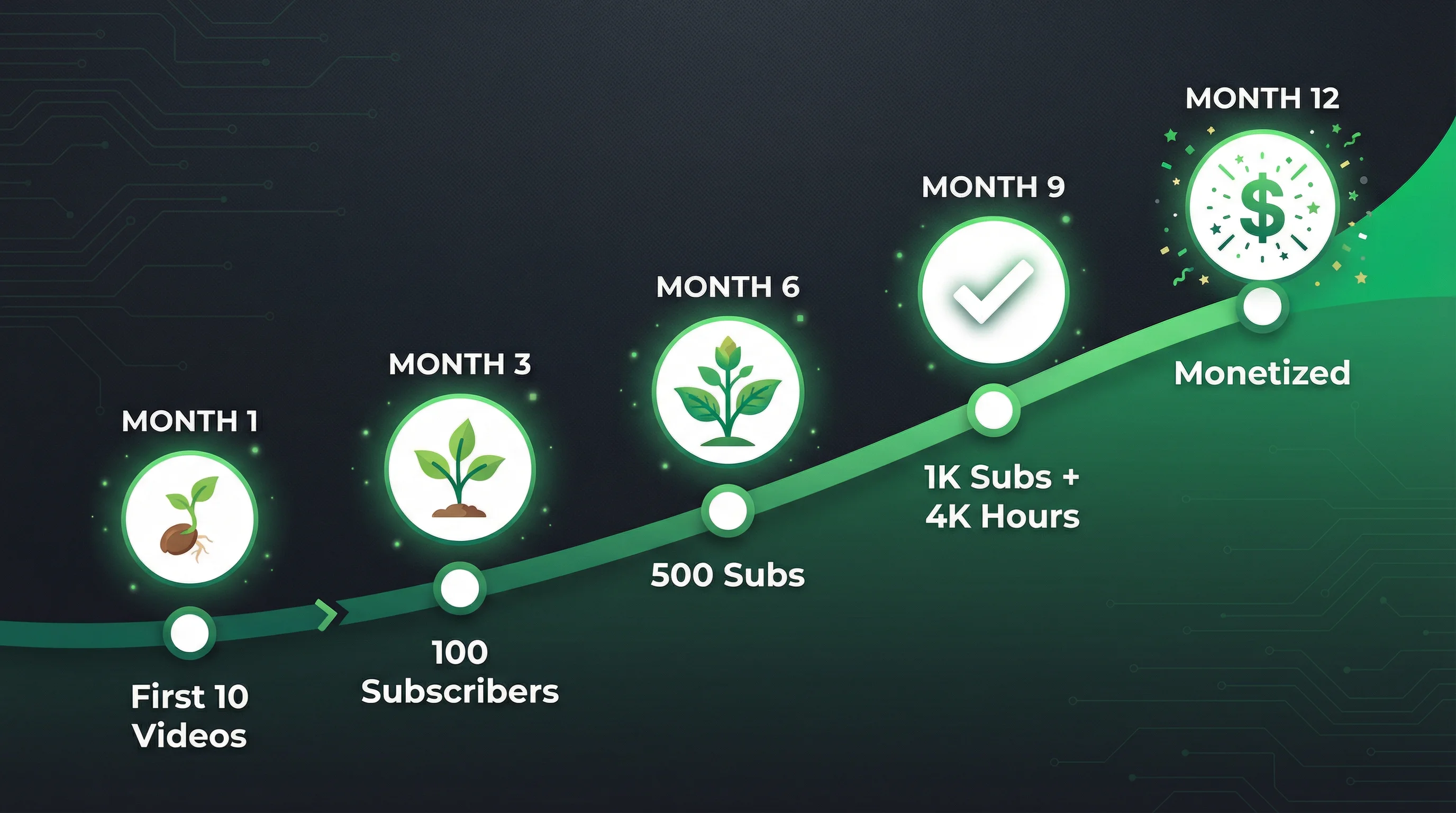 Timeline diagram showing typical YouTube channel growth milestones from first video to monetization, with subscriber and watch hour benchmarks over 12 months